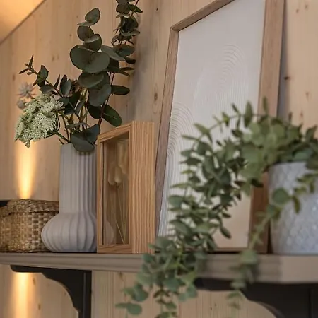 Tinyhouse Laurier Holiday home Meerssen
